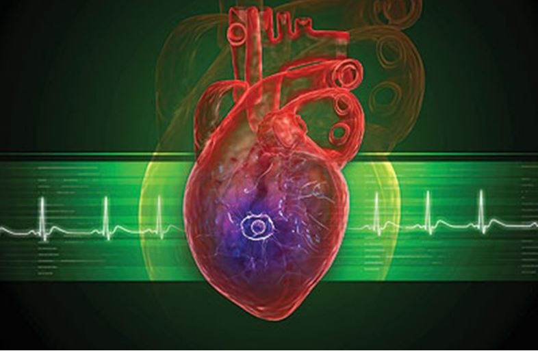 Panasonic Revealed New Camera That Accurately Read Your Heart Rate ...